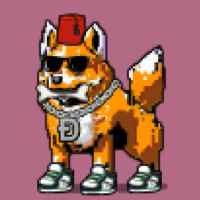 DogePunks #1563