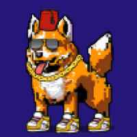 DogePunks #4223