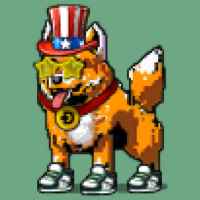 DogePunks #4629