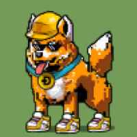 DogePunks #3258