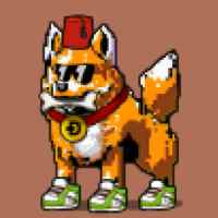 DogePunks #2978