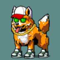 DogePunks #1562