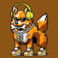 DogePunks #1196