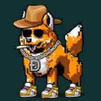 DogePunks #3897