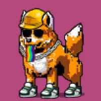 DogePunks #3847