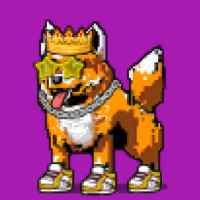 DogePunks #3862