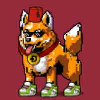 DogePunks #3737