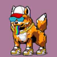 DogePunks #207