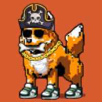DogePunks #3160
