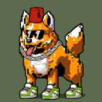 DogePunks #3299