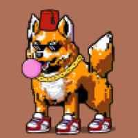 DogePunks #4134
