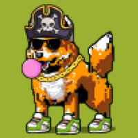 DogePunks #2911