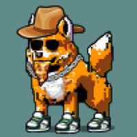 DogePunks #1120