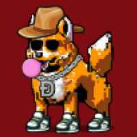 DogePunks #4755