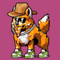 DogePunks #2416