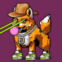 DogePunks #1251