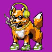 DogePunks #4021