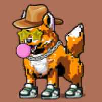 DogePunks #3623