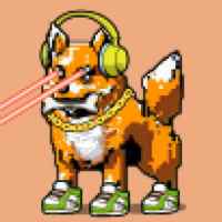 DogePunks #4857