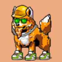 DogePunks #2215