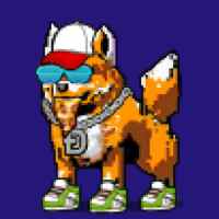 DogePunks #3051