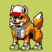DogePunks #1412