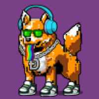 DogePunks #897