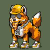 DogePunks #1725