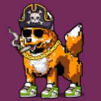 DogePunks #4799