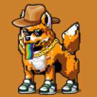 DogePunks #3571