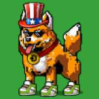 DogePunks #1863