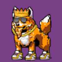 DogePunks #2666