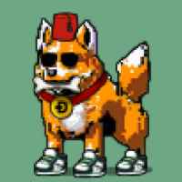 DogePunks #4994