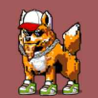 DogePunks #4789