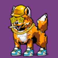 DogePunks #2475