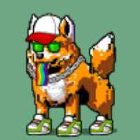 DogePunks #3239