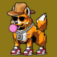 DogePunks #1774