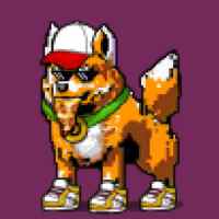 DogePunks #2421