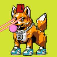 DogePunks #3312