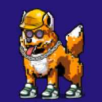 DogePunks #819
