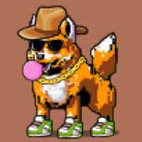 DogePunks #855