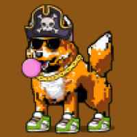 DogePunks #1509