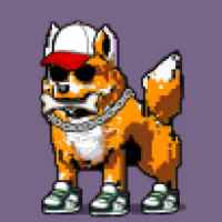 DogePunks #2839