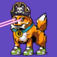 DogePunks #1063