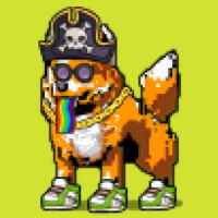 DogePunks #3172