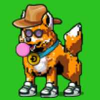 DogePunks #1557