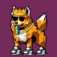 DogePunks #2135