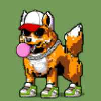 DogePunks #4194