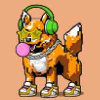DogePunks #1688