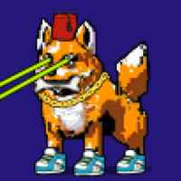 DogePunks #2760